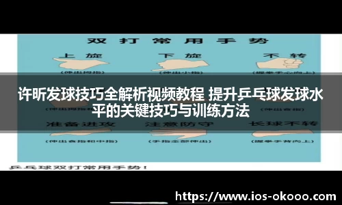 许昕发球技巧全解析视频教程 提升乒乓球发球水平的关键技巧与训练方法